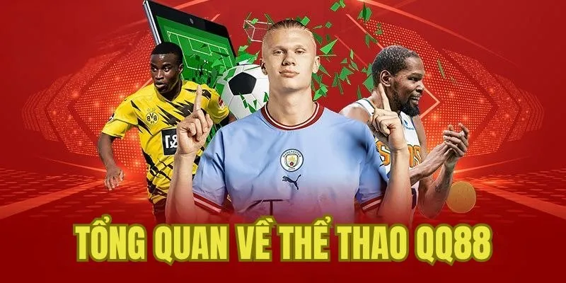 Sảnh cá cược thể thao QQ88 ấn tượng bậc nhất 2025