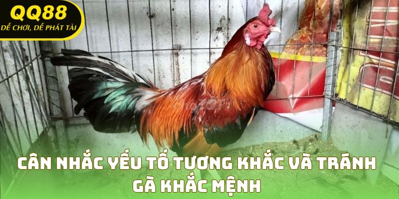 Bạn cần cân nhắc yếu tố tương khắc và tránh gà khắc mệnh